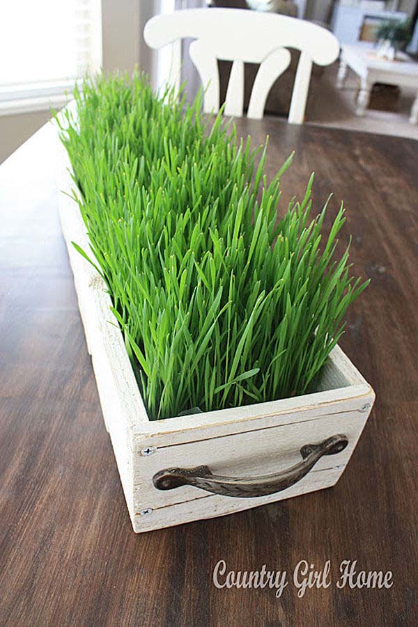 Add Some Color with a Grassy Centerpiece #spring #decor #decorhomeideas