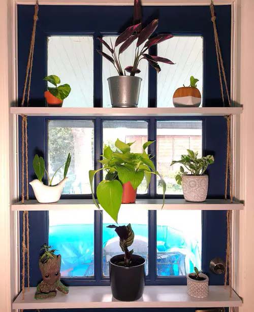 Practical Indoor Window Shelf Ideas, Indoor Window Garden Shelves
