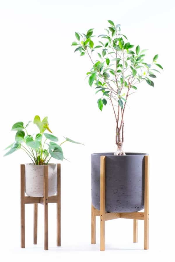 Concrete Potted Plant Holder #diy #plantstand #decorhomeideas