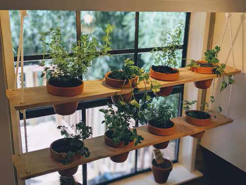 Cool Indoor Shelves #windowshelf #plants #decorhomeideas