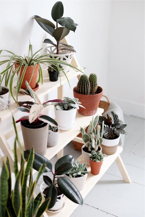 DIY Ladder Plant Stand #diy #plantstand #decorhomeideas