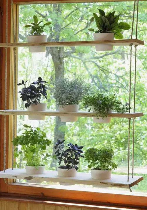 Indoor Window Shelf Ideas For Plants, Glass Window Shelves