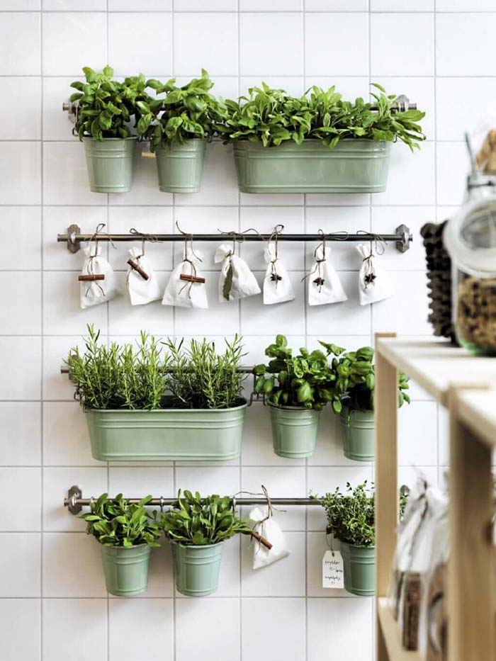 DIY Small Space Kitchen Herb Garden #walldecor #kitchen #decorhomeideas
