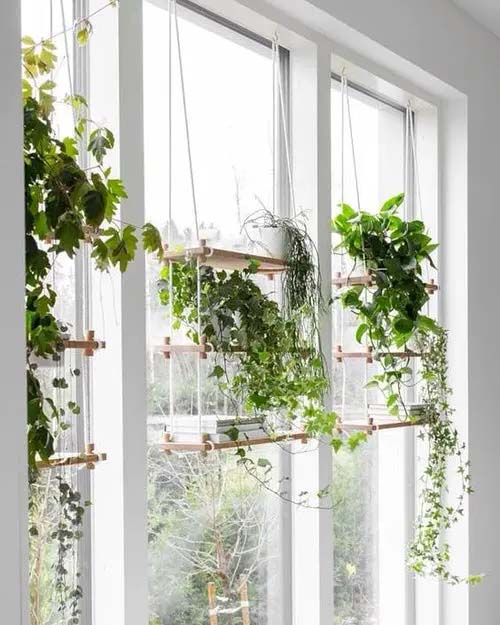 Floating Window Shelves #windowshelf #plants #decorhomeideas