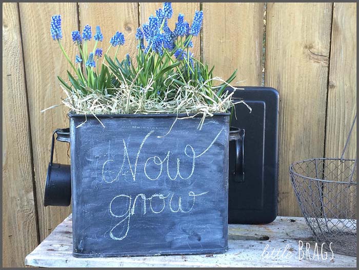 From Flour Tin to Flower Tin #spring #planter #decorhomeideas