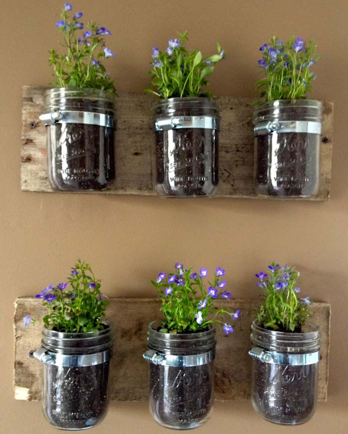 Hanging Mason Jars with Growing Flowers #farmhouse #springdecor #decorhomeideas