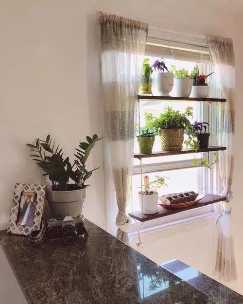 Hanging Window Plant Shelf #windowshelf #plants #decorhomeideas