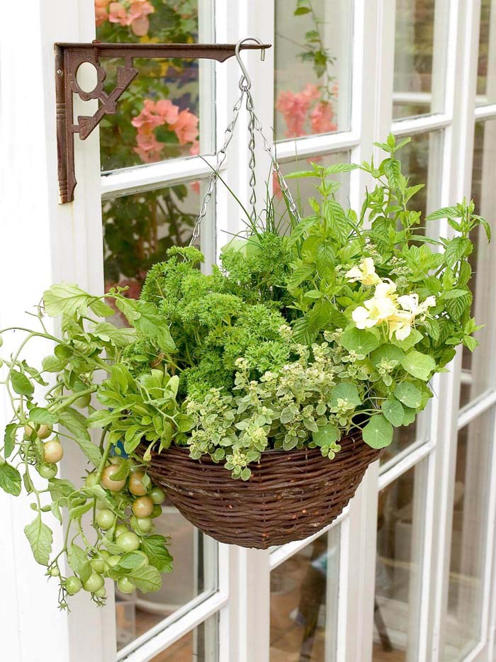 Herb Garden Hanging Basket Project #spring #frontporch #decor #decorhomeideas