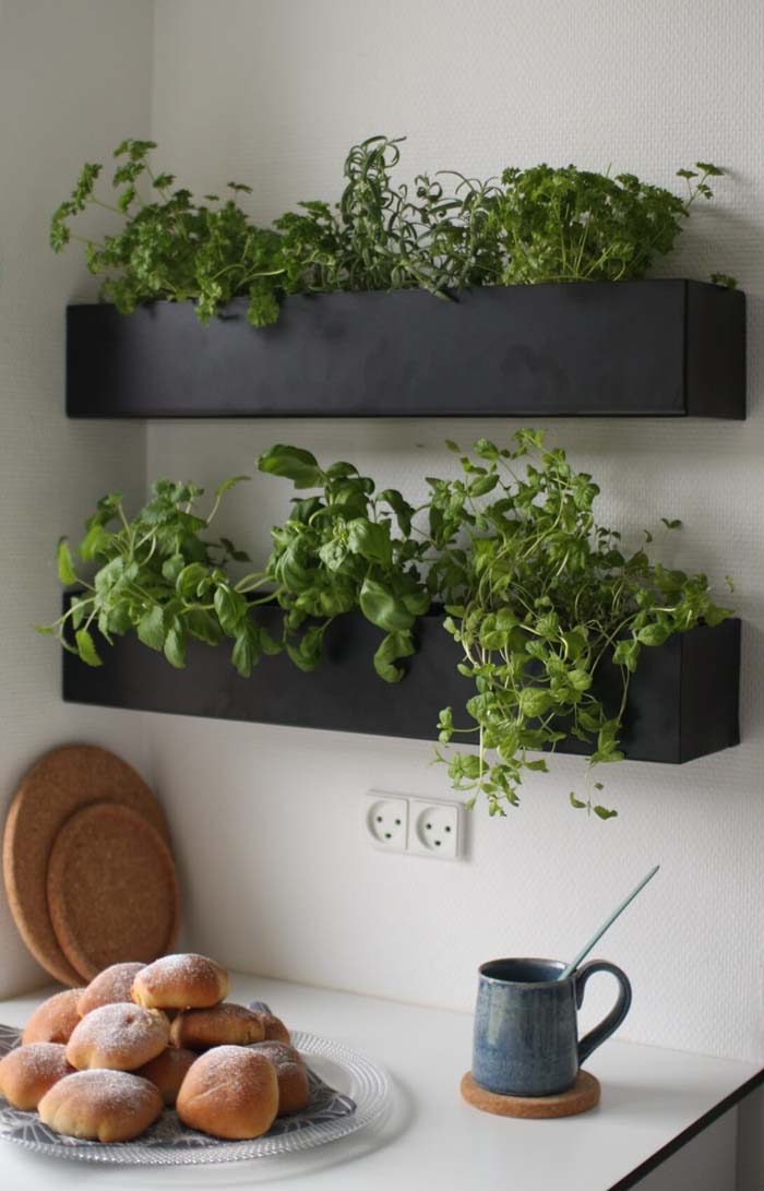 Indoor Planter Box Herb Garden #walldecor #kitchen #decorhomeideas