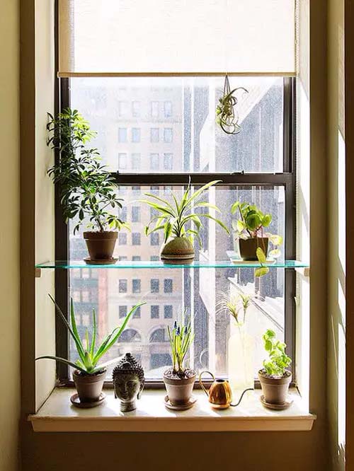 Single Glass Shelf #windowshelf #plants #decorhomeideas