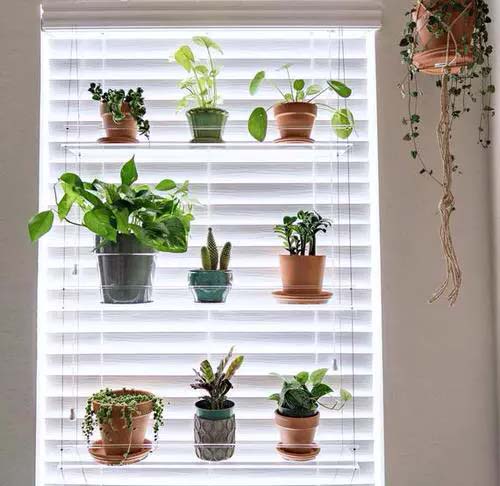 Transparent Shelf with Blinds #windowshelf #plants #decorhomeideas