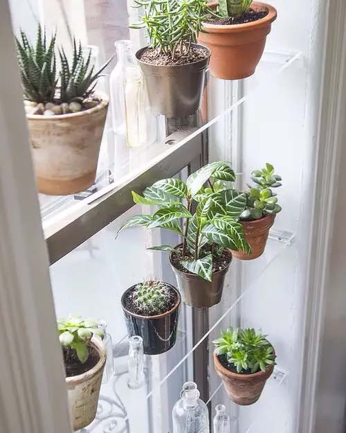 Transparent Shelves for Succulents #windowshelf #plants #decorhomeideas