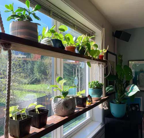 Wooden Shelf for Different Pots #windowshelf #plants #decorhomeideas