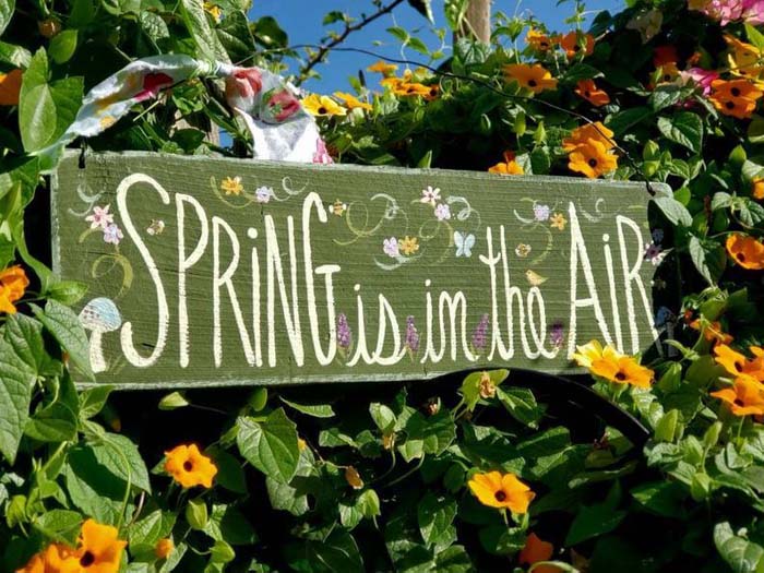 A Fabulous and Unique Idea for A Flower Wall of Memories #outdoor #springdecor #decorhomeideas