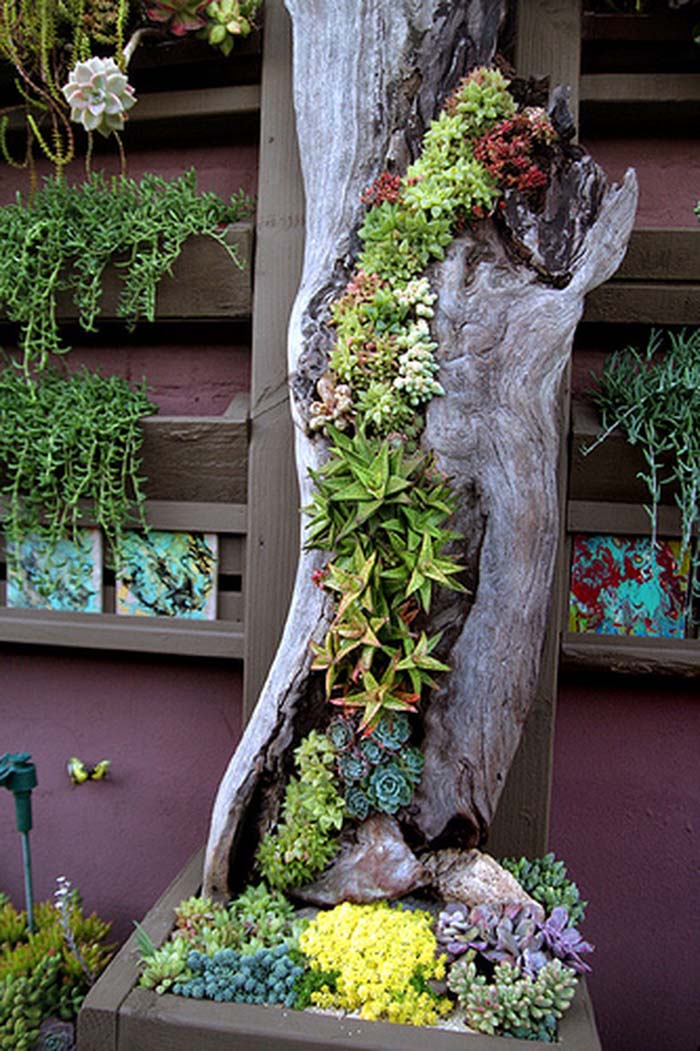 A Juxtaposition of Old and New #verticalgarden #garden #decorhomeideas