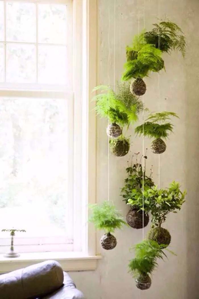 A Modern Vertical Garden Design #verticalgarden #garden #decorhomeideas
