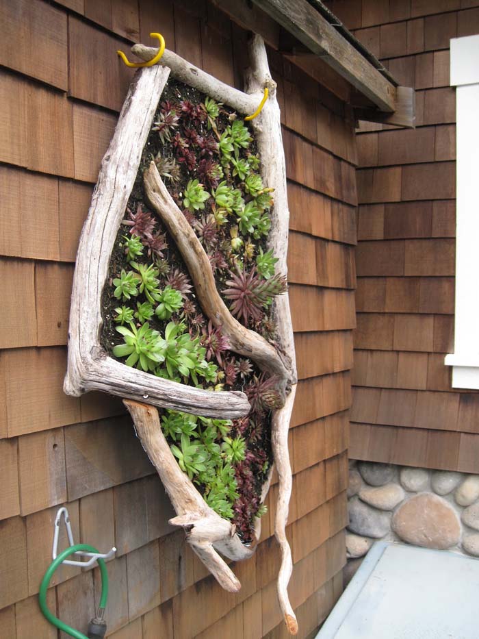 A Vertical Garden Idea for a Seaside Cottage #verticalgarden #garden #decorhomeideas