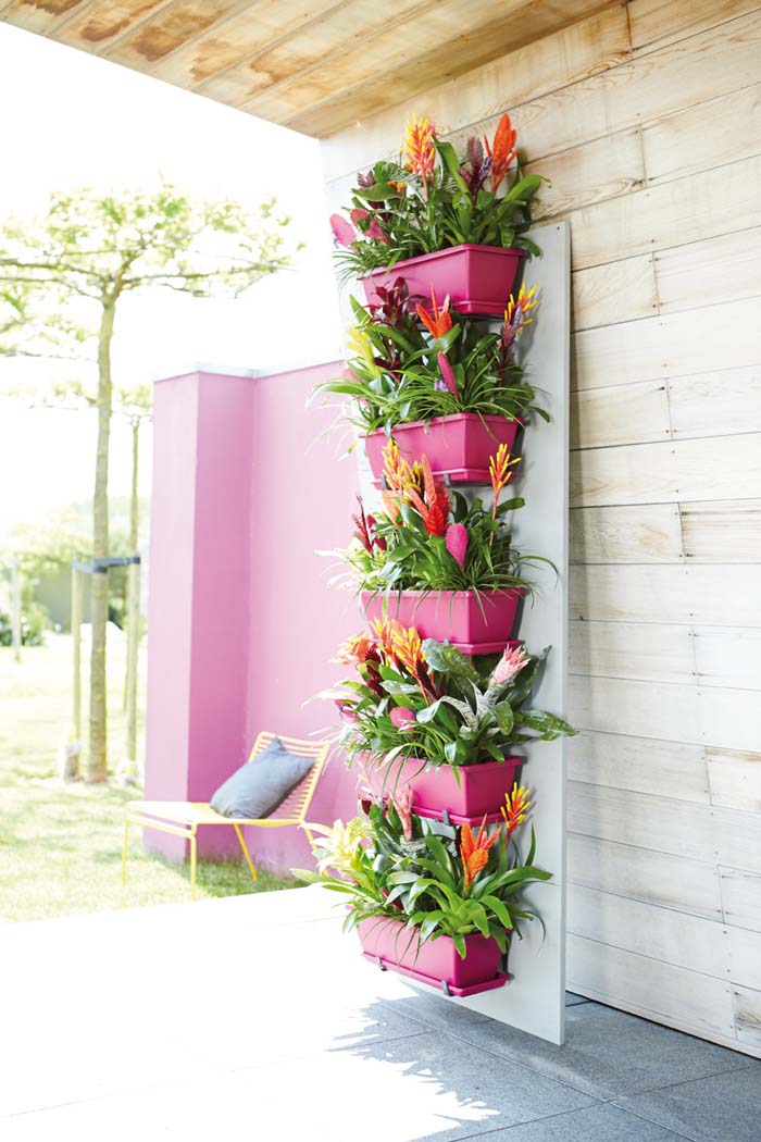 Bright Pink Adds a Pop of Color and Accents Vibrant Bromeliads #verticalgarden #garden #decorhomeideas