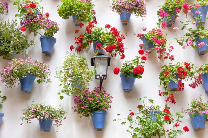 Dress a Bleak Wall in Unforgettable Style #verticalgarden #garden #decorhomeideas