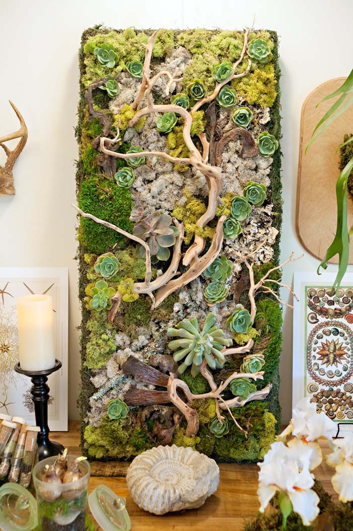 Embellished Wall Panel Showcases Succulents and Driftwood #verticalgarden #garden #decorhomeideas