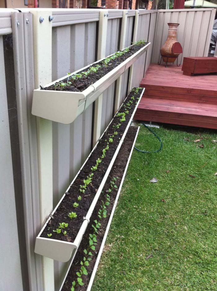 Fence Mounted Garden Boxes #smallgarden #gardendesign #decorhomeideas