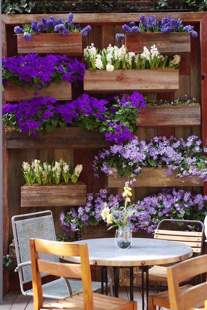 Frame a Patio Space with a Beautiful Hanging Garden #verticalgarden #garden #decorhomeideas