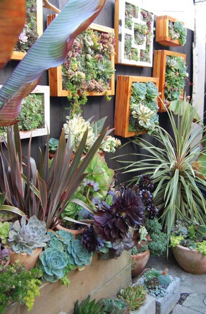 Natural Wood Frames House a Miniature Garden #verticalgarden #garden #decorhomeideas