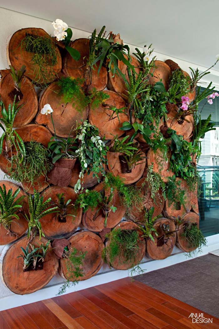 Paint a Wall with Plants #verticalgarden #garden #decorhomeideas