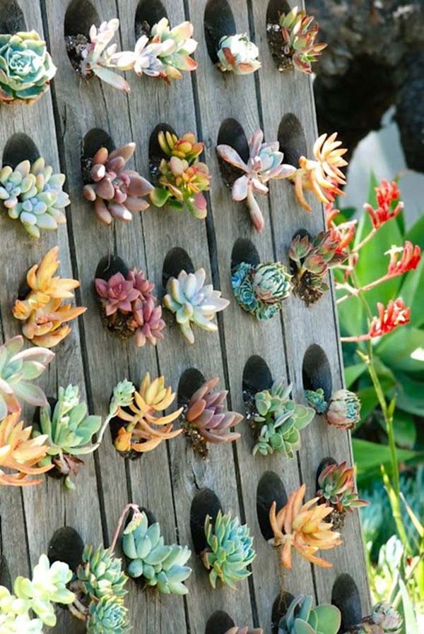 Precision Meets Unrestrained Nature #verticalgarden #garden #decorhomeideas