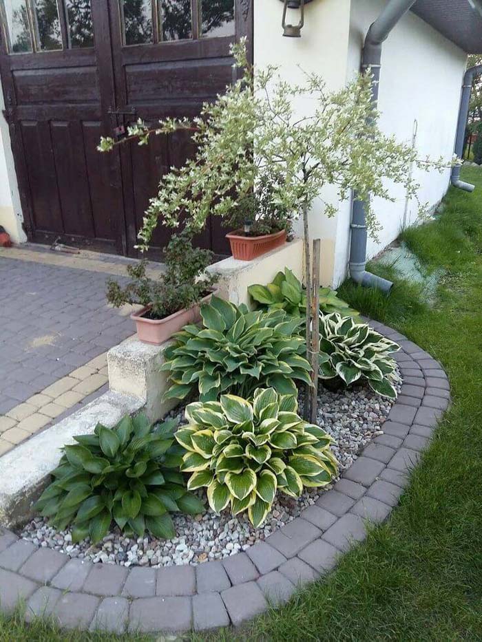 Tiny Garden with Stone Border #smallgarden #gardendesign #decorhomeideas