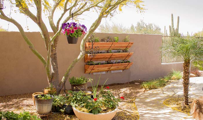 Wall Garden and Planters in the Desert #smallgarden #gardendesign #decorhomeideas