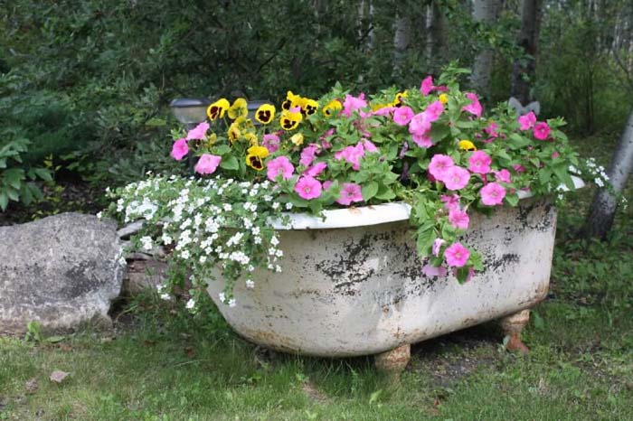 Antique Bathtub as Garden Dеcor #gardencontainer #garden #planter #decorhomeideas