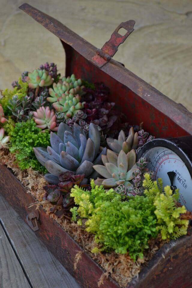 Antique Metal Tool Box Planter #gardencontainer #garden #planter #decorhomeideas