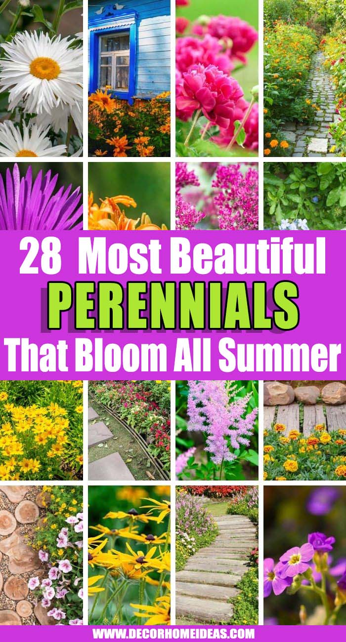 Best Perennials That Bloom All Summer. These perennials that bloom all summer are the best option if you want more color and texture in your garden or backyard. Choose your favorite one and start gardening. #decorhomeideas