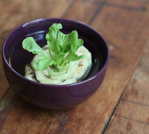 Bok Choy #vegetables #regrow #decorhomeideas