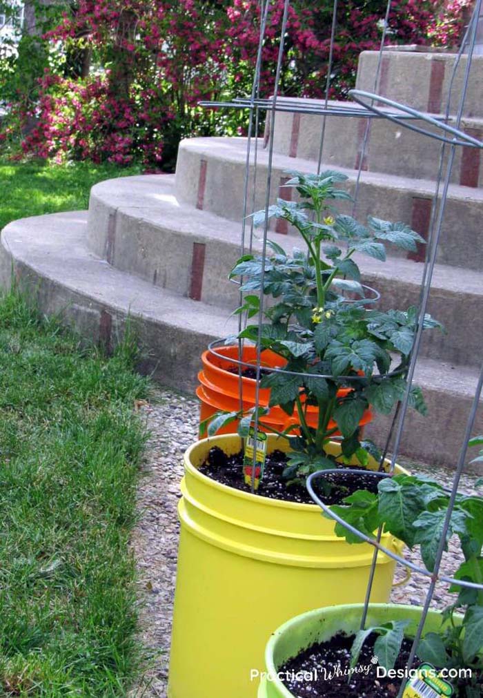Brightly Colored Five Gallon Bucket Container Garden #gardencontainer #garden #planter #decorhomeideas