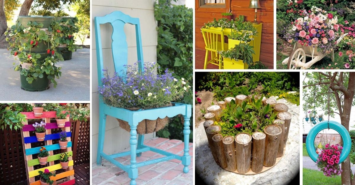 Container Garden Ideas