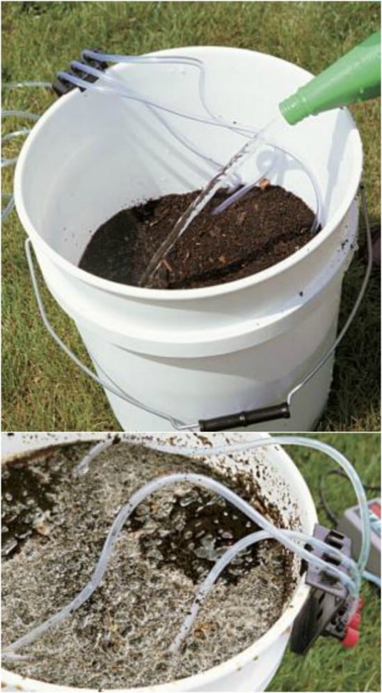 DIY Bucket Compost Tea Brewer