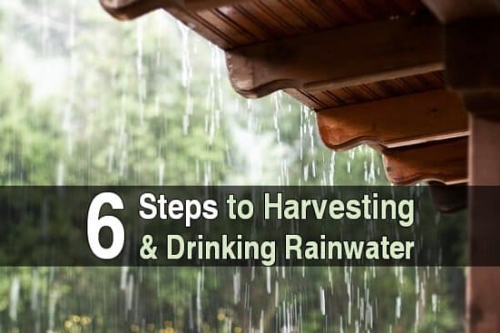 Diy Rainwater Harvester