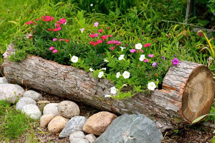 DIY Rustic Log Flower Container #gardencontainer #garden #planter #decorhomeideas