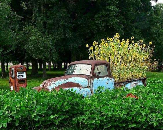 Giant Vintage Truck-Bed Planter #sunflower #garden #decorhomeideas