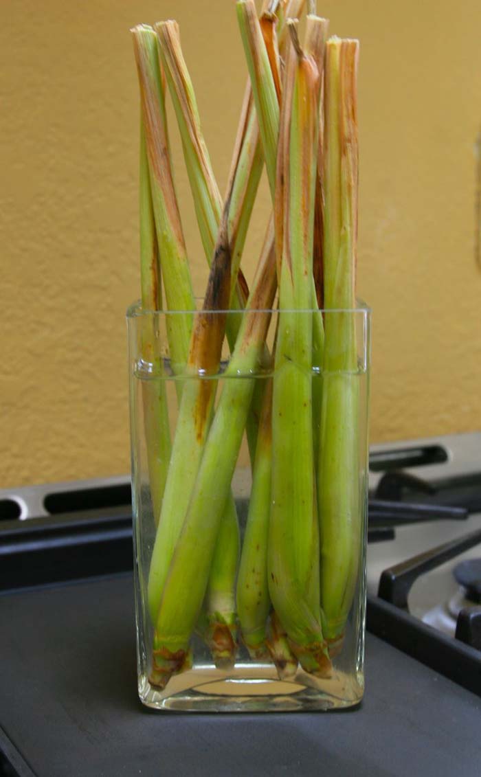 Lemongrass #vegetables #regrow #decorhomeideas