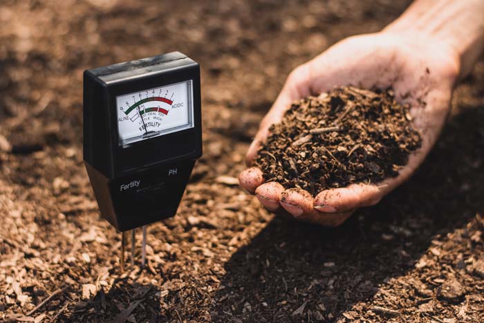 Measure Soil Ph