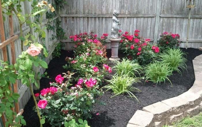 Minimalist Rose Garden #rosegarden #roses #decorhomeideas