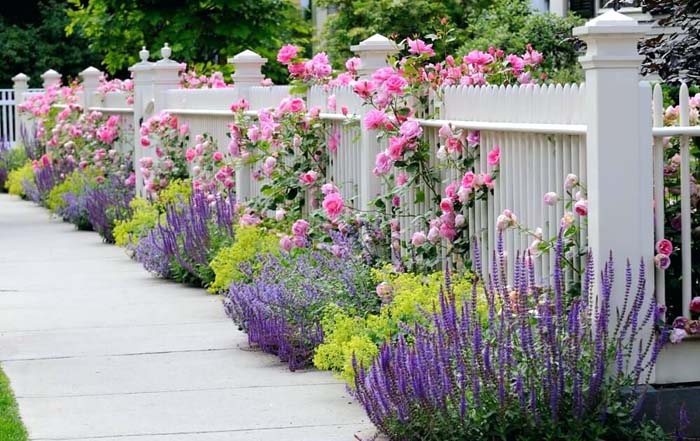 Pink Roses on a Picket Fence #rosegarden #roses #decorhomeideas