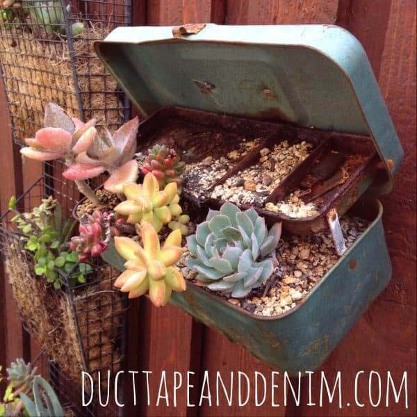 Reclaimed Tackle Box as a Succulent Planter #gardencontainer #garden #planter #decorhomeideas