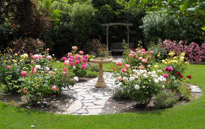 Refreshing Rose Artwork #rosegarden #roses #decorhomeideas