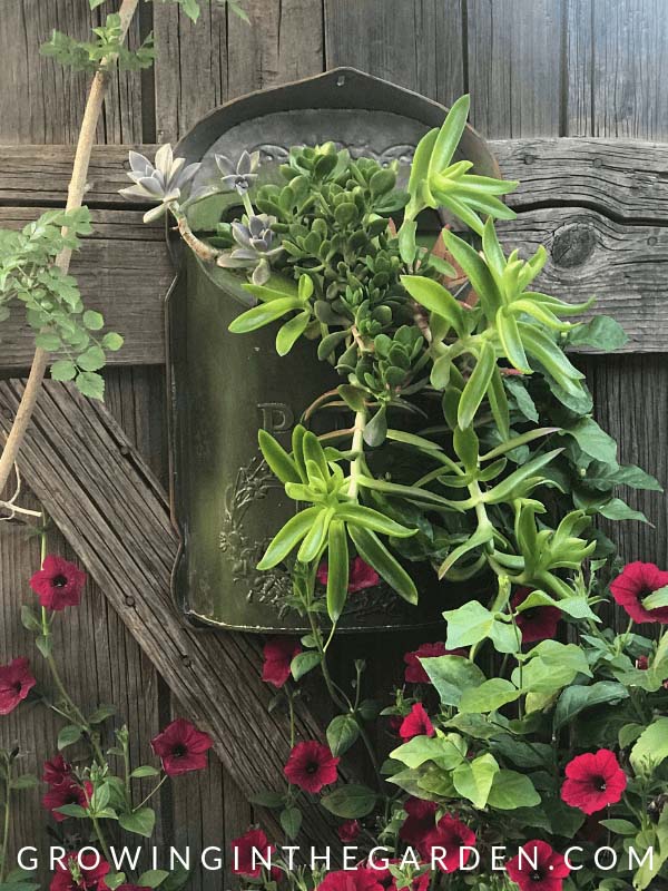 Repurposed Mailbox Succulent Garden Container #gardencontainer #garden #planter #decorhomeideas