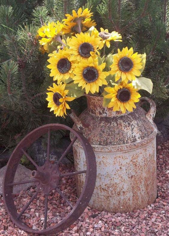 Rusted Milk Jug Sunflower Planter #sunflower #garden #decorhomeideas