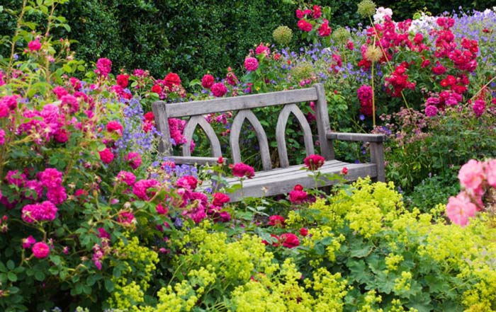 Rustic Bench In A Rose Garden #rosegarden #roses #decorhomeideas